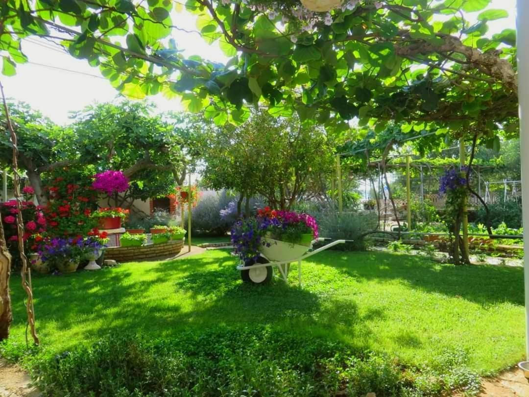 Beach Apartment Roza Biograd Oneroom - Premium Location Биоград на Мору Екстериор снимка